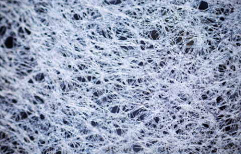 セルロースファイバー　構造　写真