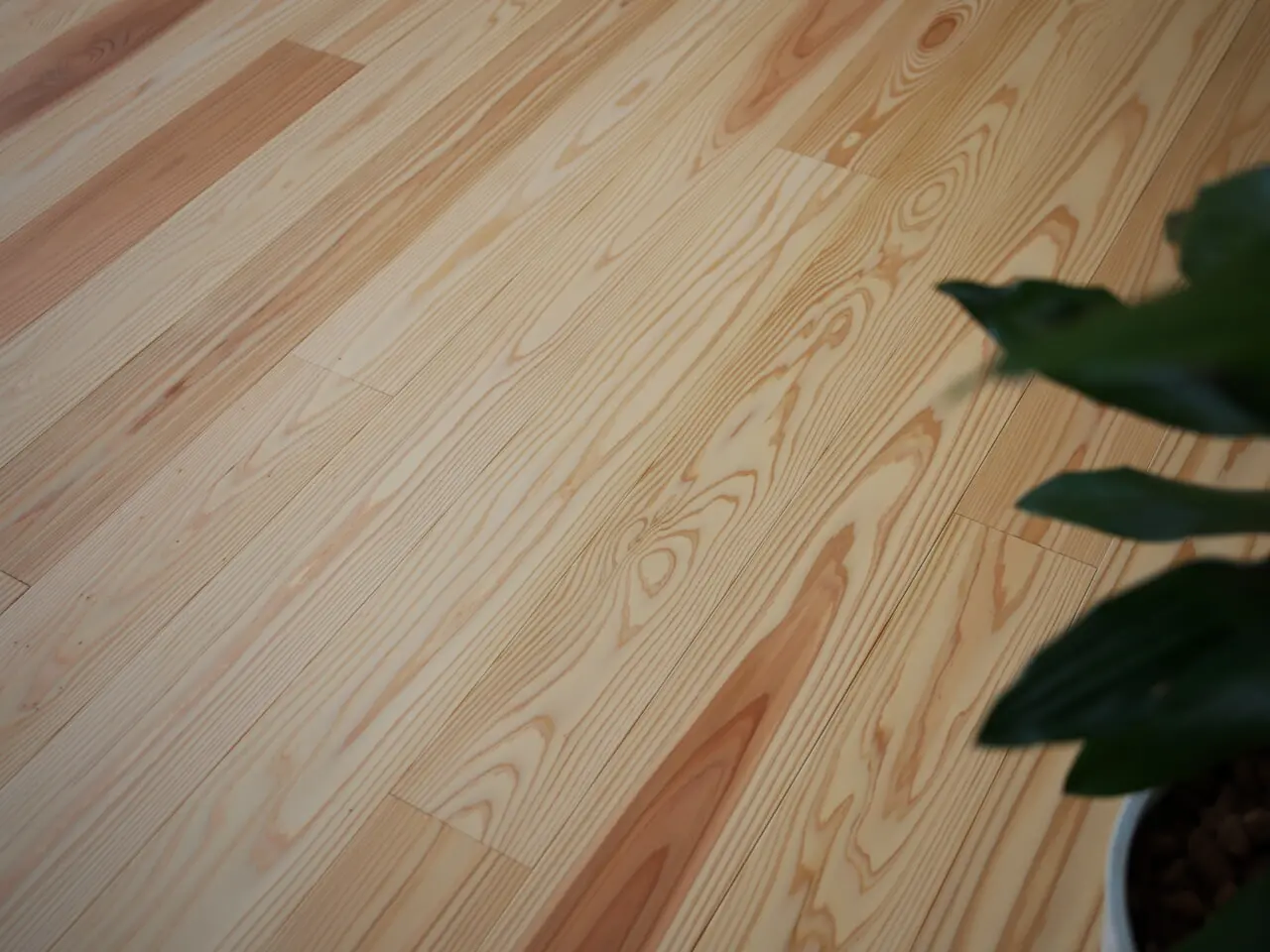 無垢の床と合板の床、何が違うの？　住まいづくり初心者にやさしく解説 アイキャッチ