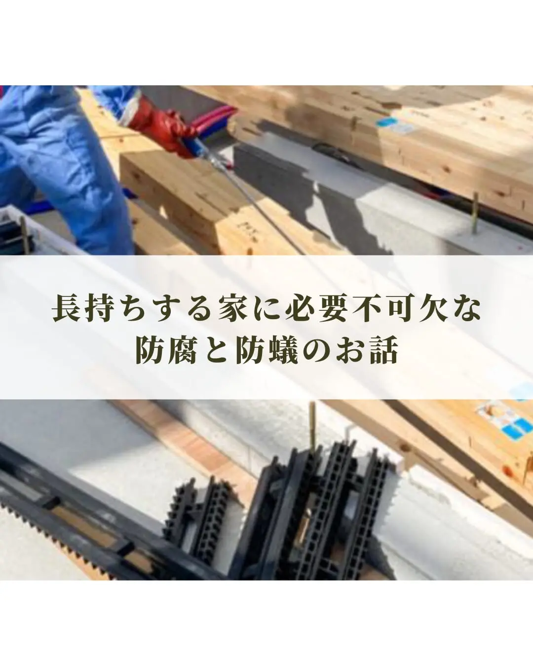 長持ちする家に必要不可欠な「防腐と防蟻」のお話 アイキャッチ