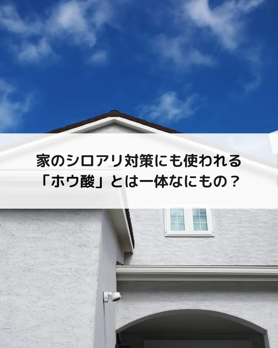 家のシロアリ対策にも使われる「ホウ酸」とは一体なにもの？ アイキャッチ