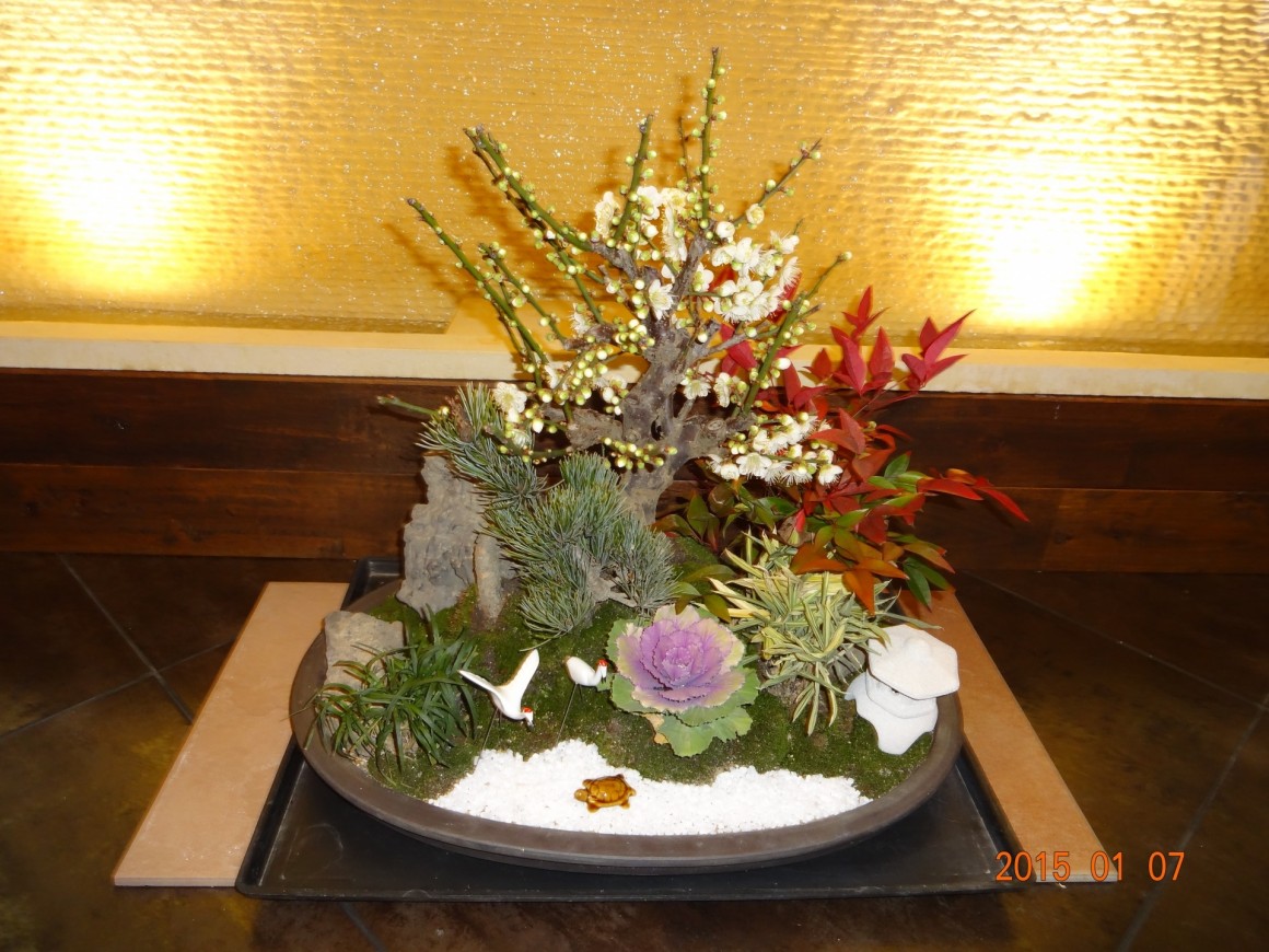 DSC04464 DSC04464