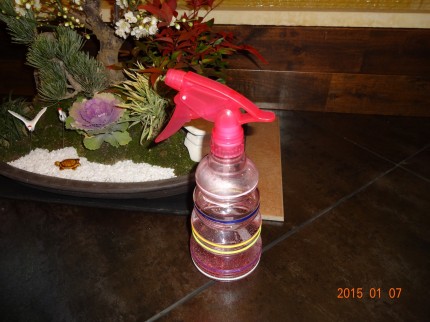 DSC04465 DSC04465