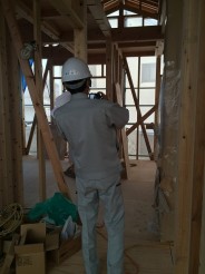 IMG_5517 IMG_5517