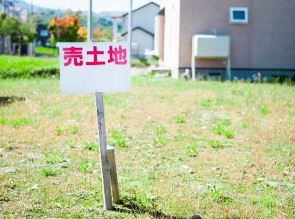 image1 image1